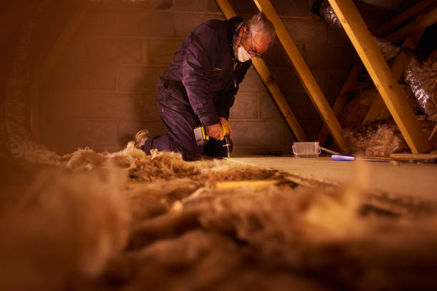 Best Insulation Maintenance and Repair in Rio Grande, OH