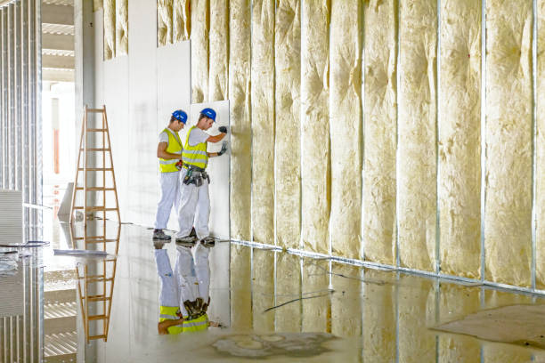 Best Insulation Installation Services in Rio Grande, OH